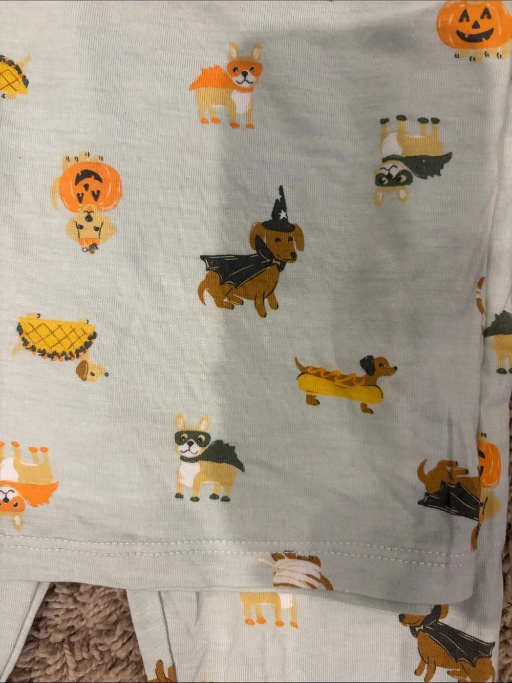 Kids' Light Blue Halloween Puppy Pajama Set with Orange Trim